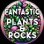 Fantastic Plants and Rocks