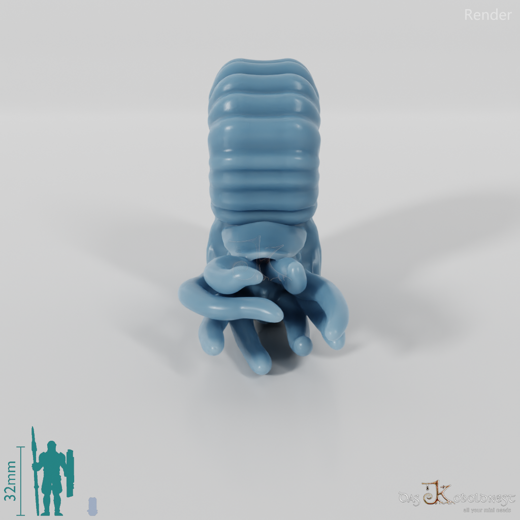 Kopffüßer - Kopffüßer 01