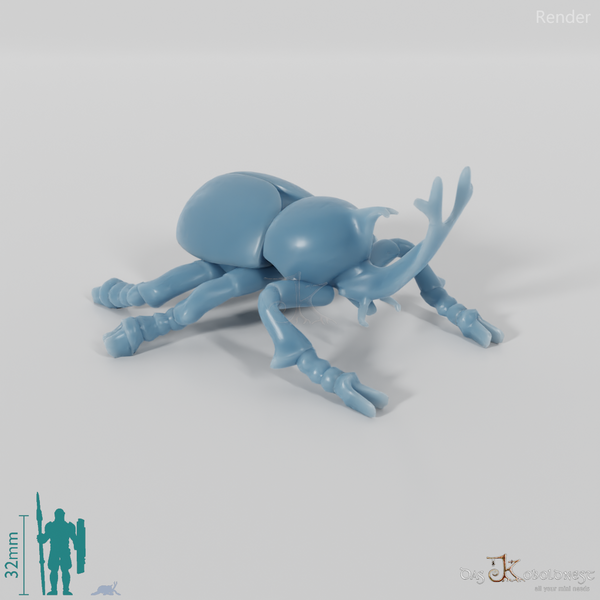 Käfer - Nashornkäfer 01