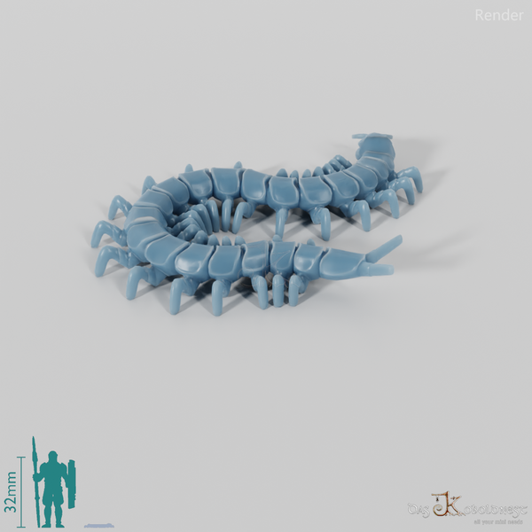 Tausendfüßer - Hundertfüßer 01