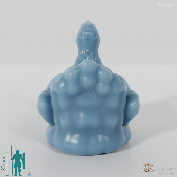 Huhn - Brütendes Huhn 01