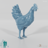 Huhn - Haushahn 03