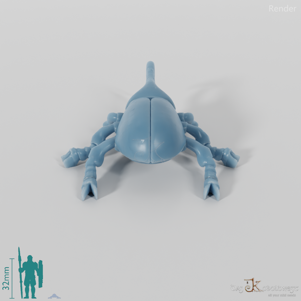 Käfer - Herkuleskäfer 01