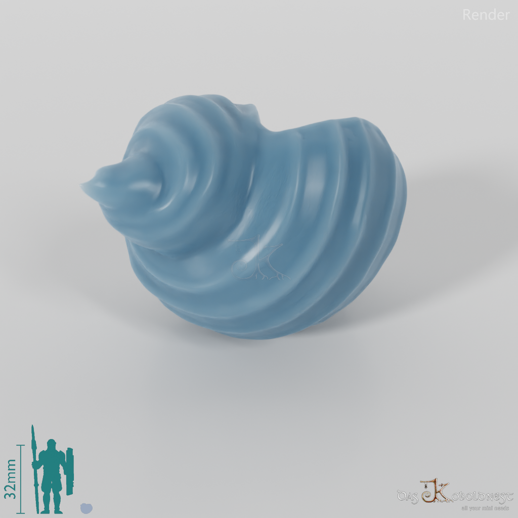 Meeresschnecke - Meeresschnecke 01