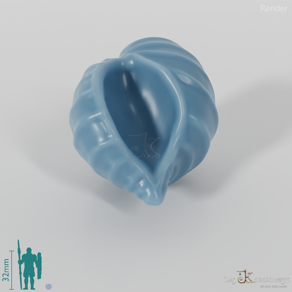 Meeresschnecke - Meeresschnecke 01