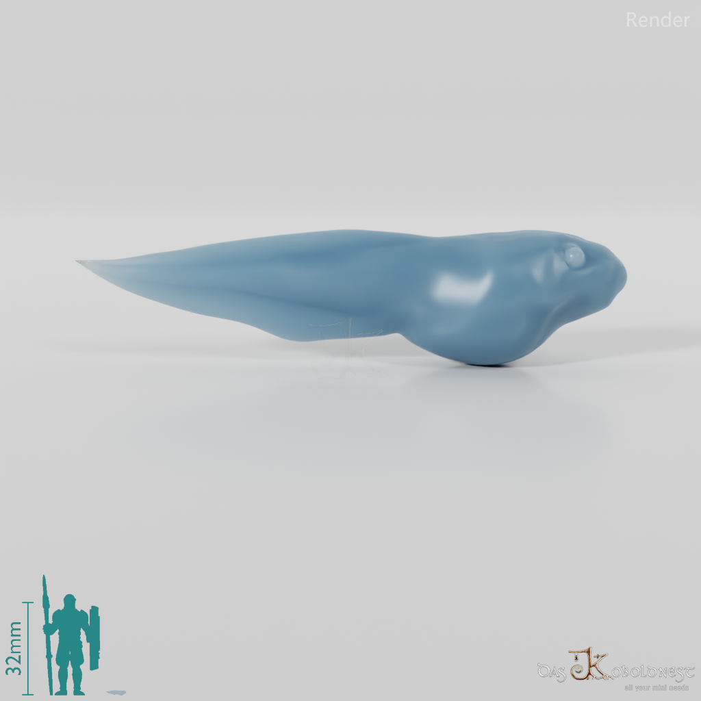 Frosch - Kaulquappe 01