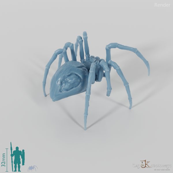 Spinne - Kleine Zombiespinne 01