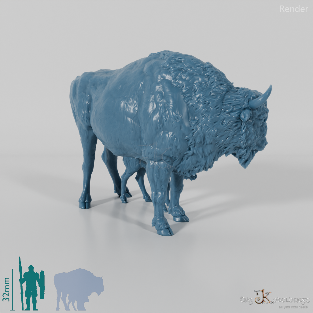 Bison - Europäische Bisons - Kuh und Kalb