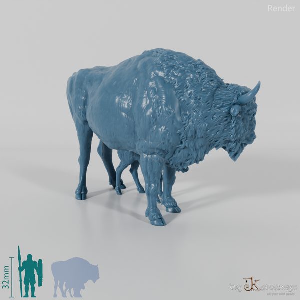 Bison - Europäische Bisons - Kuh und Kalb