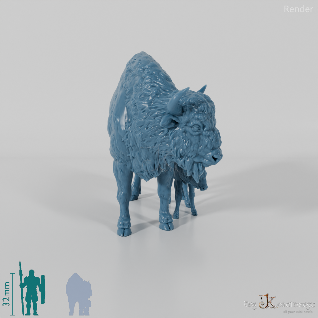 Bison - Europäische Bisons - Kuh und Kalb