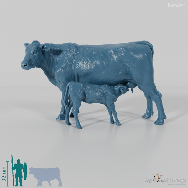 Beef - North Devon Cow with Calf - Suckling