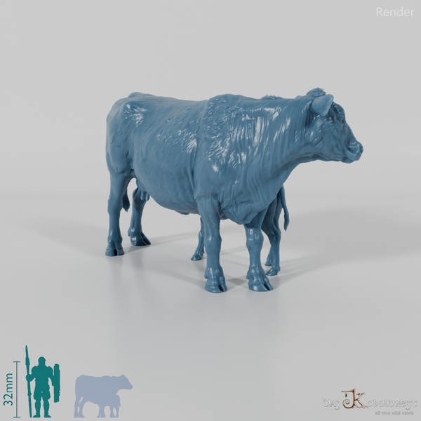 Beef - North Devon Cow with Calf - Suckling
