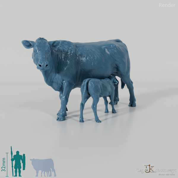 Beef - North Devon Cow with Calf - Suckling