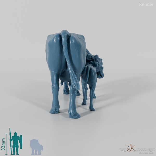 Rind - North Devon Kuh mit Kalb