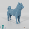 Hund - Shiba Inu 01