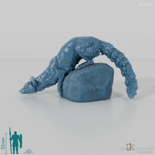 Schleichkatze - Kleinfleck-Ginsterkatze 02