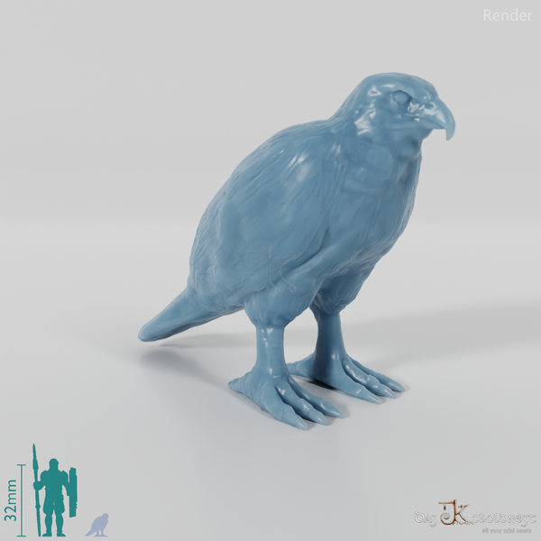 Raubvogel - Sperber 01