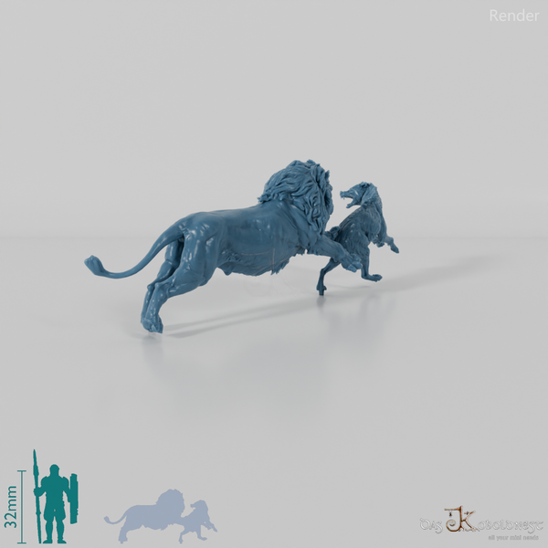 Raubkatze - Löwe auf der Jagd nach Tüpfelhyäne