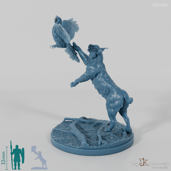 Luchs - Eurasischer Luchs auf der Jagd nach Auerhuhn