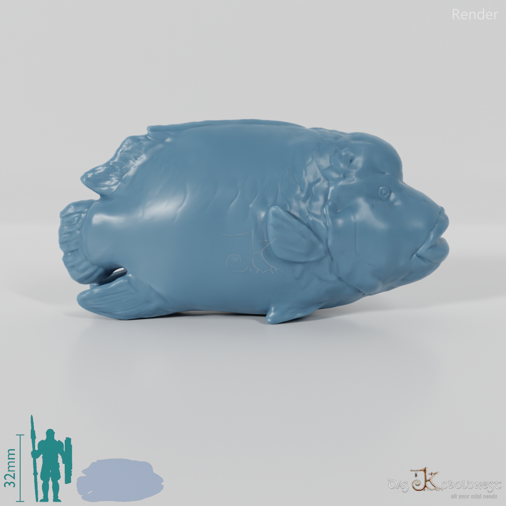 Fisch - Napoleon-Lippfisch 01