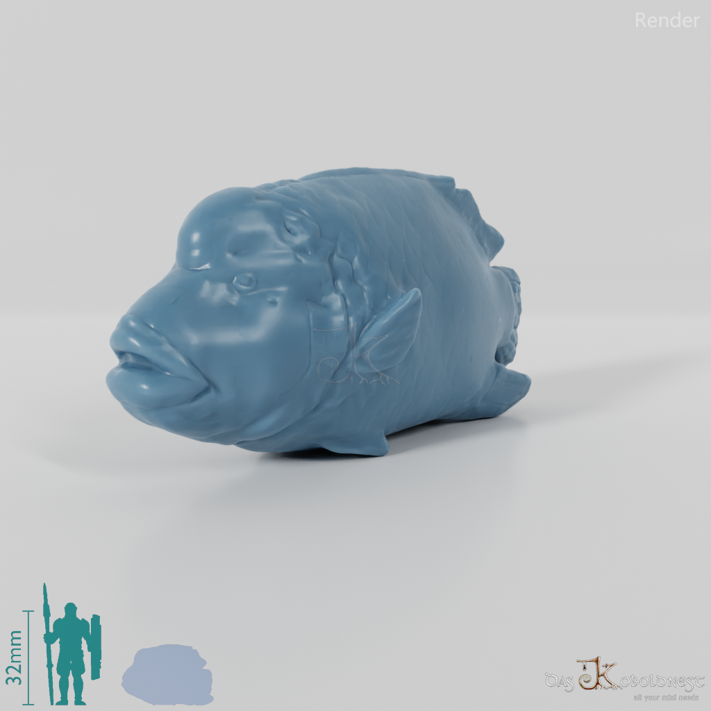 Fisch - Napoleon-Lippfisch 01