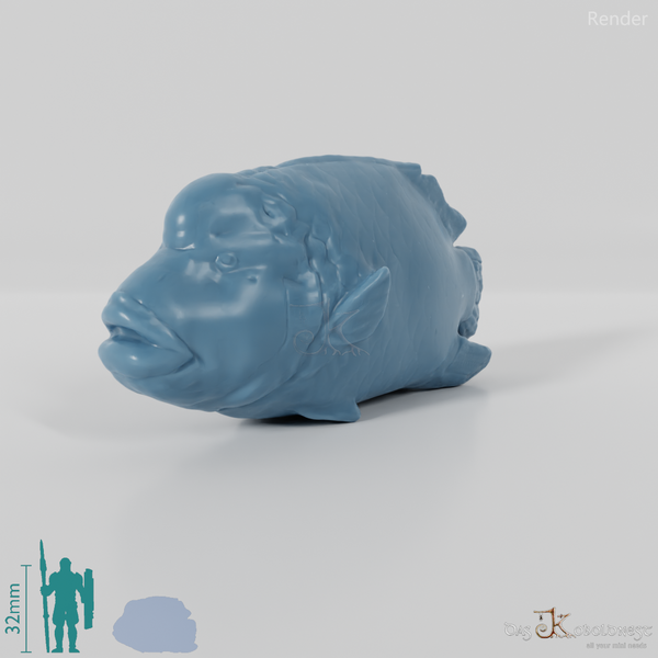 Fisch - Napoleon-Lippfisch 01