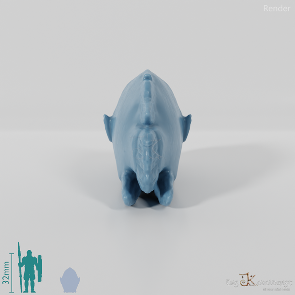 Fisch - Napoleon-Lippfisch 01