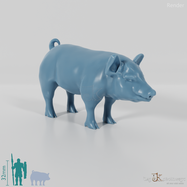 Hausschwein - Schwein 01