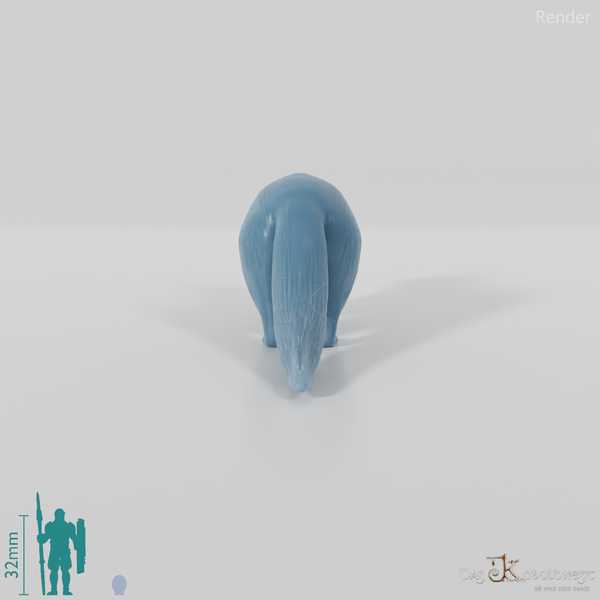 Waschbär - Waschbär 01