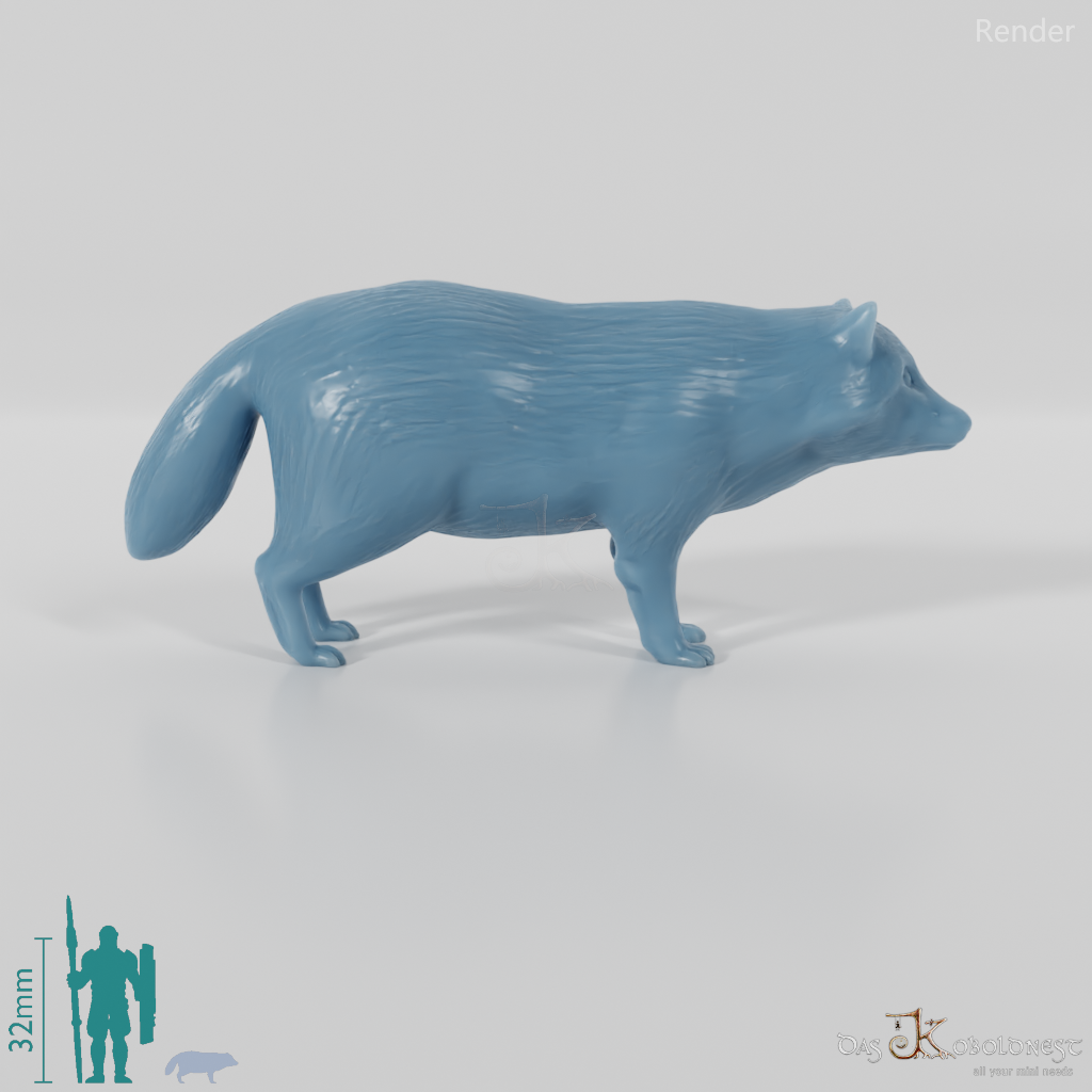 Waschbär - Tanuki 01