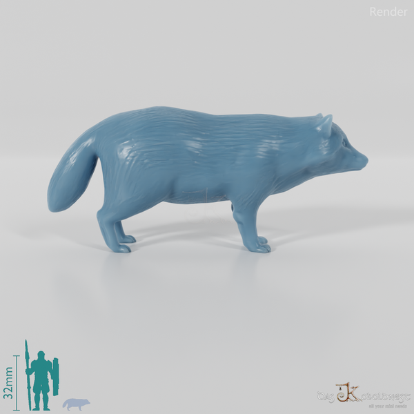 Waschbär - Tanuki 01