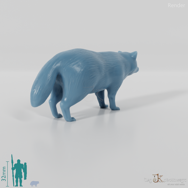 Waschbär - Tanuki 01