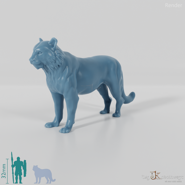 Raubkatze - Tiger 01