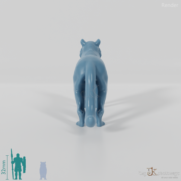 Raubkatze - Tiger 01