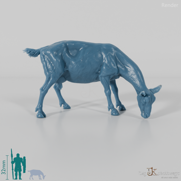 Ziege - Gebirgsziege 03