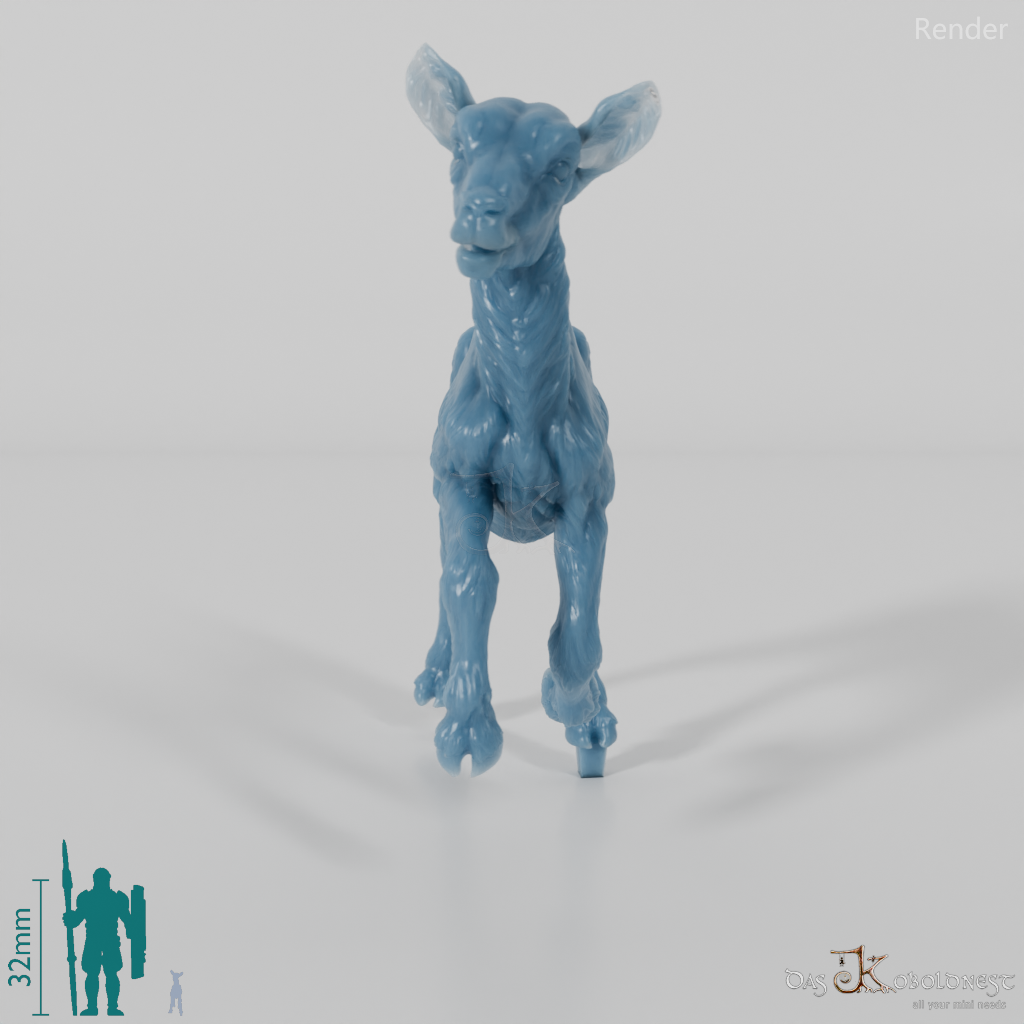 Ziege - Gebirgsziege - Kitz 03