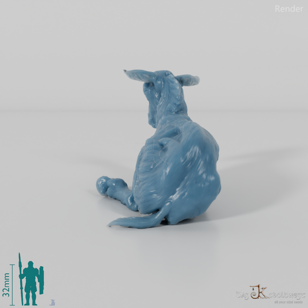 Ziege - Gebirgsziege - Kitz 04