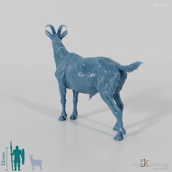 Ziege - Gebirgsziege - Ziegenbock 01