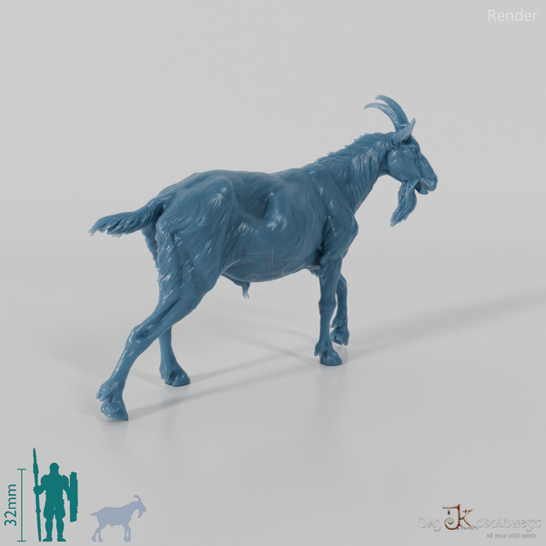Ziege - Gebirgsziege - Ziegenbock 03
