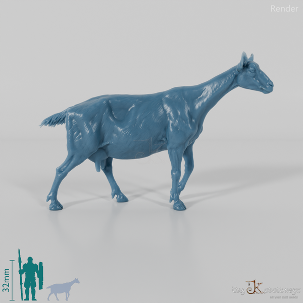 Ziege - Gebirgsziege 05