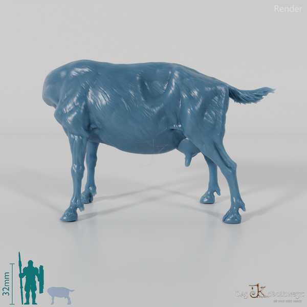 Ziege - Gebirgsziege 01