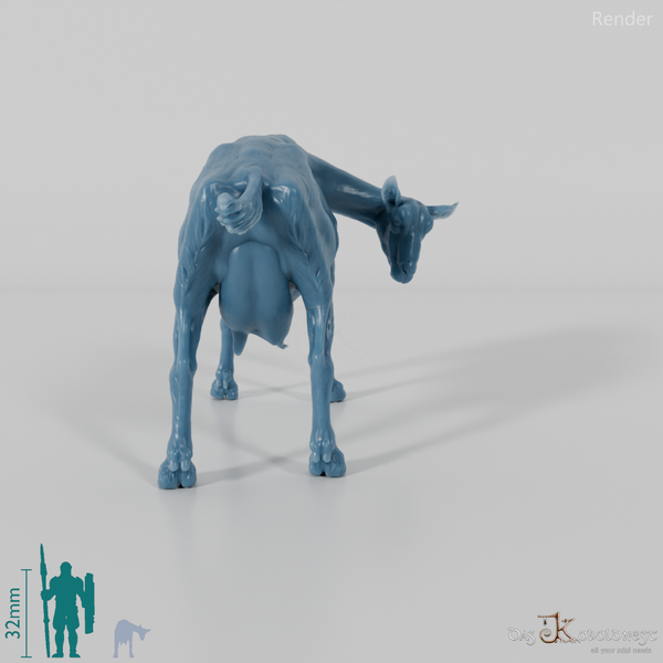 Ziege - Gebirgsziege 01