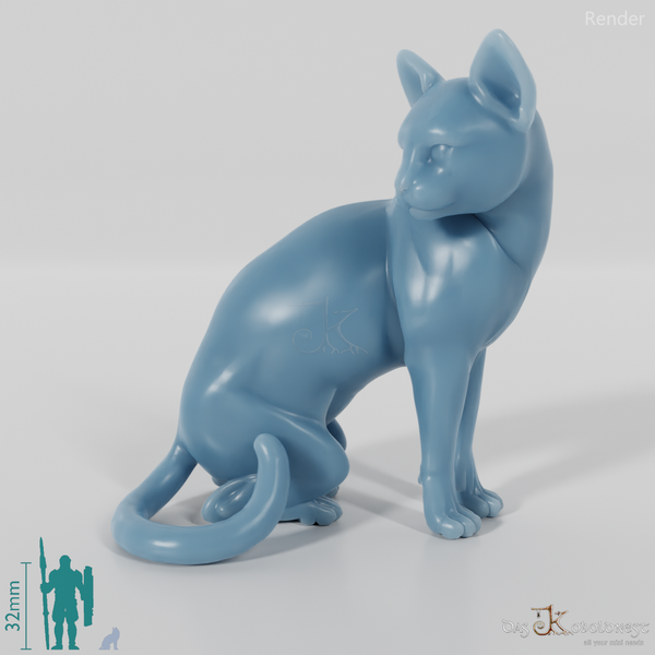 Katze - Sitzende Hauskatze 01