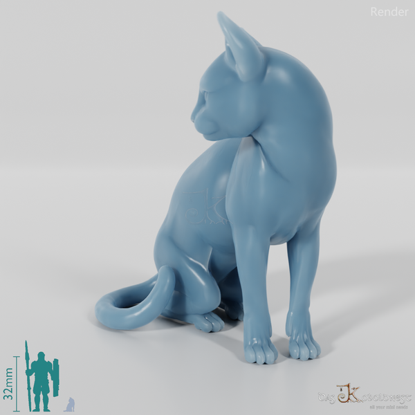 Katze - Sitzende Hauskatze 01