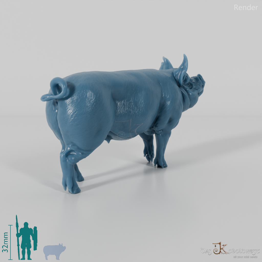 Schwein - Berkshire-Eber 01