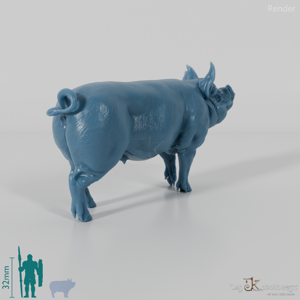 Schwein - Berkshire-Eber 01