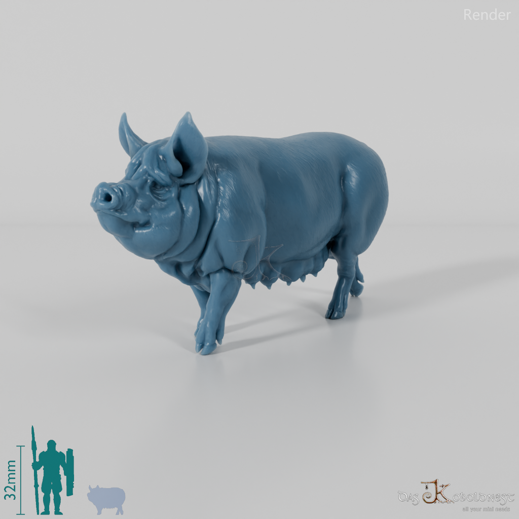 Schwein - Berkshire-Sau 01