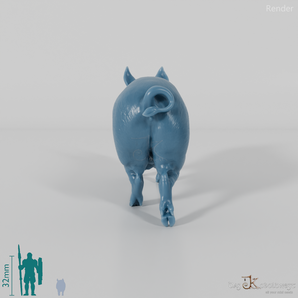 Schwein - Berkshire-Sau 01