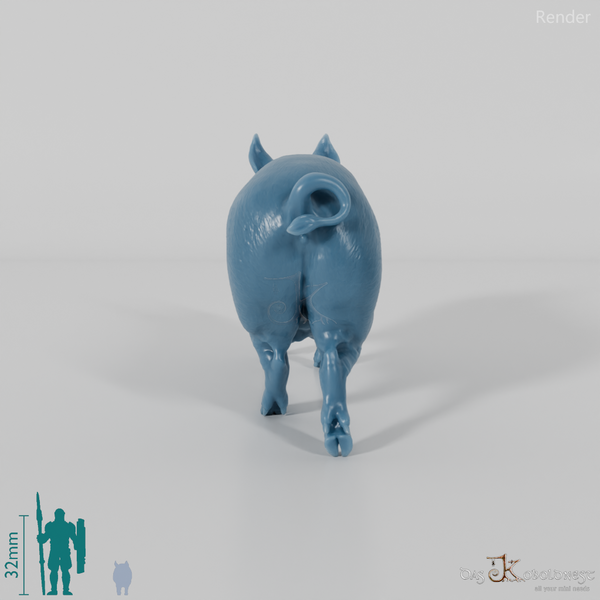 Schwein - Berkshire-Sau 01