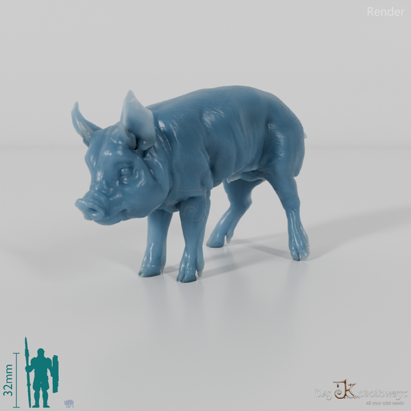 Schwein - Berkshire-Ferkel 01